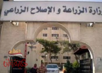   انفوجراف” حول الحصاد الاسبوعي لوزارة الزراعه 