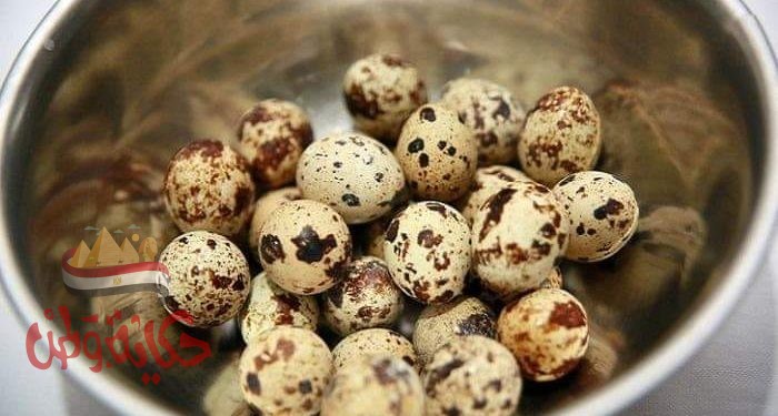 مالا تعرفه عن بيض السمان