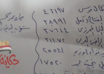 نتائج فرز الأصوات إنتخابات مجلس الشورى ٢٠٢٠ محافظة قنا