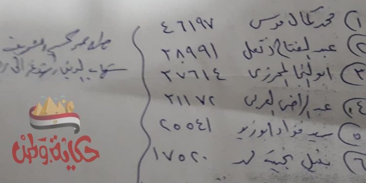 نتائج فرز الأصوات إنتخابات مجلس الشورى ٢٠٢٠ محافظة قنا