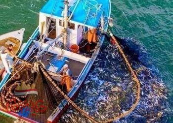 بعد الشده رزق