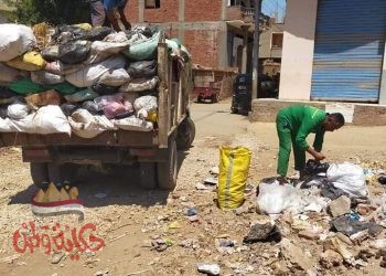 المنوفية : رفع 48طن قمامة بقري مركز الباجور