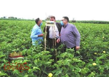 وكيل وزارة الزراعة بالبحيرة يتابع زراعات القطن بمركز المحمودية