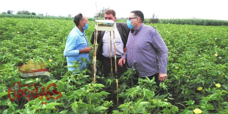 وكيل وزارة الزراعة بالبحيرة يتابع زراعات القطن بمركز المحمودية