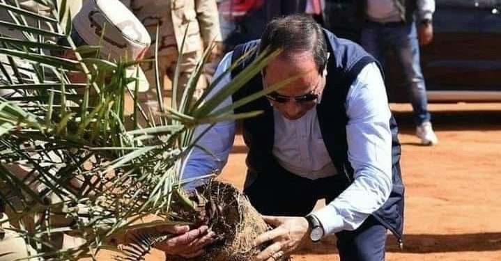 هنا أكبر مزرعة نخيل فى العالم