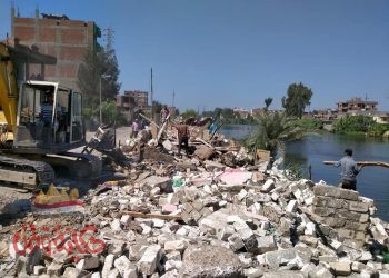 تنفيذ ” ٩٥” قرار إزالة بمساحة ٤٩٨٣ م٢ وتحصين عدد ٣٠٠ رأس أبقار ضد مرض الجلد العقدي بمركز ومدينة المحمودية