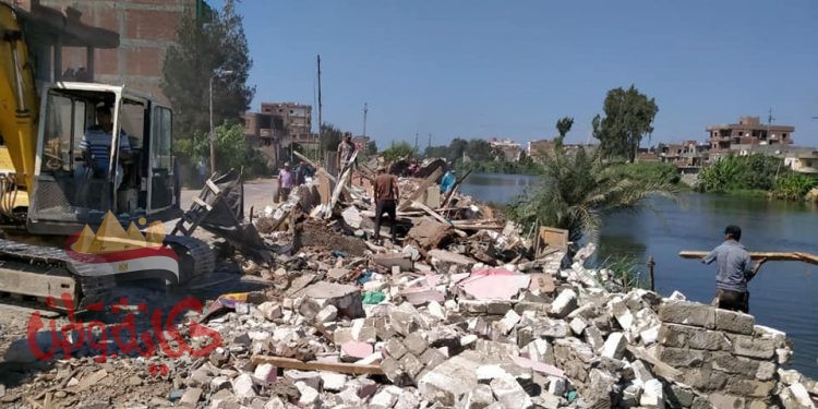 تنفيذ ” ٩٥” قرار إزالة بمساحة ٤٩٨٣ م٢ وتحصين عدد ٣٠٠ رأس أبقار ضد مرض الجلد العقدي بمركز ومدينة المحمودية