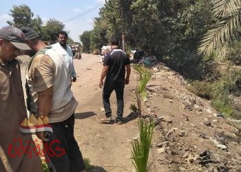 المنوفية : تشجير منطقة مقلب القمامة بالنخل والزينة طريق تلا طنوب