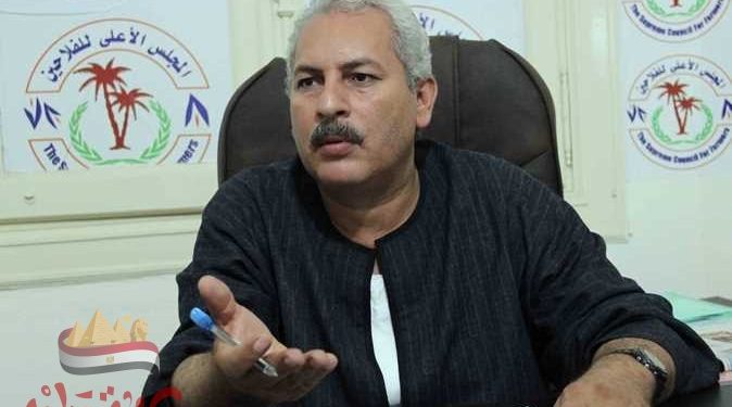 نقيب عام الفلاحين: الاليه الجديده لتسعير القطن في صالح التجار