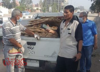 استم‏رار شن الحملات التموينية على المحلات التجارية والمخابز بالغربيه