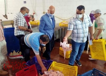 ضبط ٣ طن هياكل وجلد معبأة و٤٢٠ كجم هوالك وغلق مجزر دواجن بالشرقية