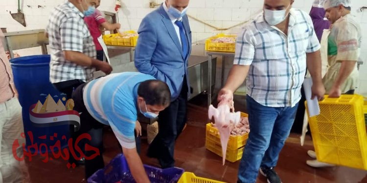 ضبط ٣ طن هياكل وجلد معبأة و٤٢٠ كجم هوالك وغلق مجزر دواجن بالشرقية