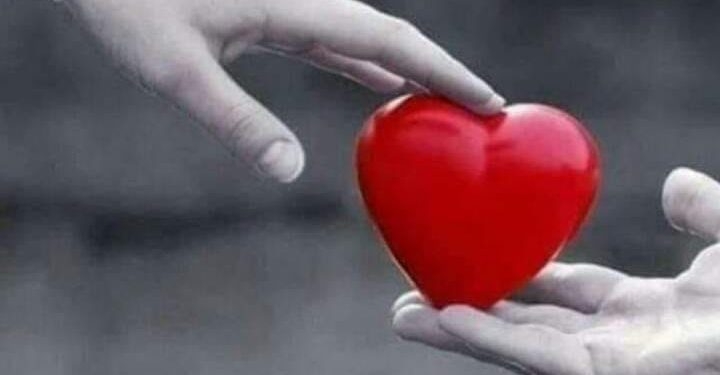 الحب الصادق قدرهم