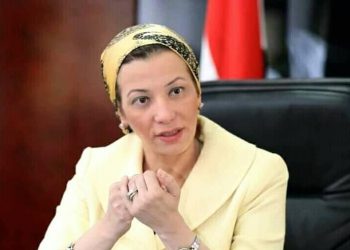 بيان وزارة البيئة حول تدوال مواقع التواصل الاجتماعى لمزاعم قيام مجموعة من الشباب بقتل دولفين