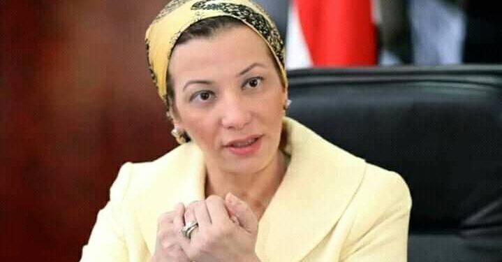 بيان وزارة البيئة حول تدوال مواقع التواصل الاجتماعى لمزاعم قيام مجموعة من الشباب بقتل دولفين