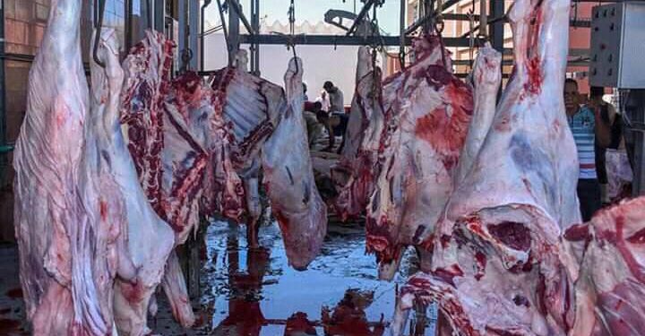 القصير: 4 حالات تعد على الأراضي الزراعية وذبح 3500 اضحية مجانا في ثالث ايام عيد الأضحى المبارك