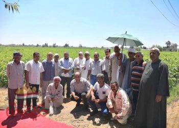 إرشاد البحيرة ينظم ندوات إرشادية لمزارعى القطن بمراكز المحافظة