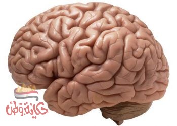 لايوجد انسان بدون ذاكره