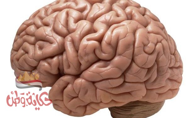 لايوجد انسان بدون ذاكره