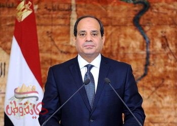 السيسي : إضافة علوم جديدة للدراسه بالجامعات لتأهيل الخريجين لسوق العمل