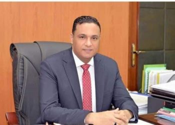 الدقهلية تحتل المركز الثاني على مستوى الجمهورية في قروض الشباب