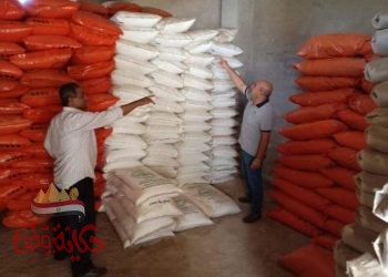 الزراعة : استلام مليون طن أسمدة للمحاصيل الصيفية