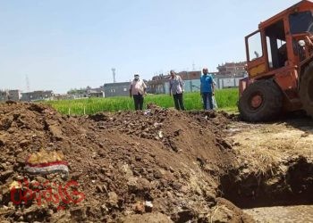 إزالة حالتي تعدي على مساحة ٢٥٠ م٢ بمركزي إدكو وأبو حمص .