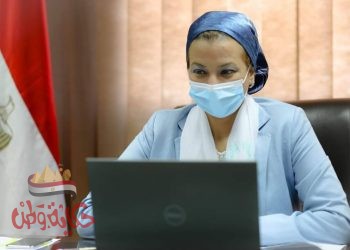 وزيرة البيئة تؤكد توصيات اللجنة الفنية لمراجعة تقارير الأداء البيئي للشركات