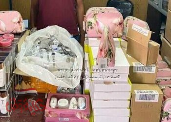 رصد جرائم التهريب ومخالفات الإجراءات الجمركية بشتى صوره