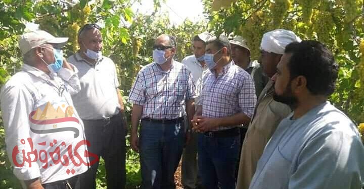 الزراعة” تتفقد ٥ مواقع ارشادية وانتاجية بمحافظة كفر الشيخ