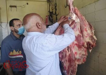 بيطرى المنوفية :6 طن 396 كجم من اللحوم والدواجن والرنجة الفاسدة