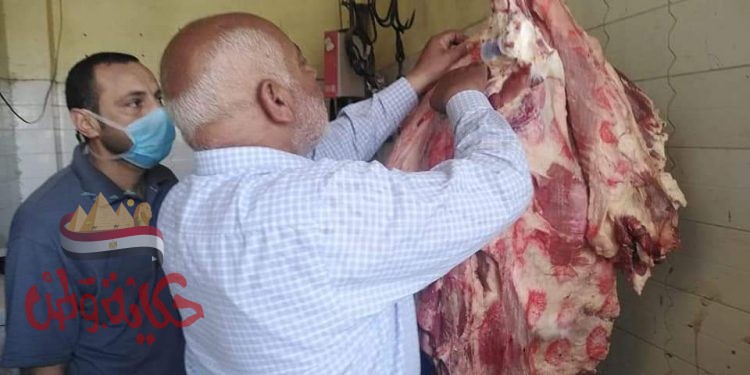 بيطرى المنوفية :6 طن 396 كجم من اللحوم والدواجن والرنجة الفاسدة