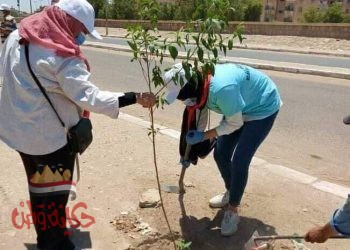 فؤاد”انطلاق حملة تشجير منطقة كيما ضمن مبادرتى “اتحضر للاخضر ” ..