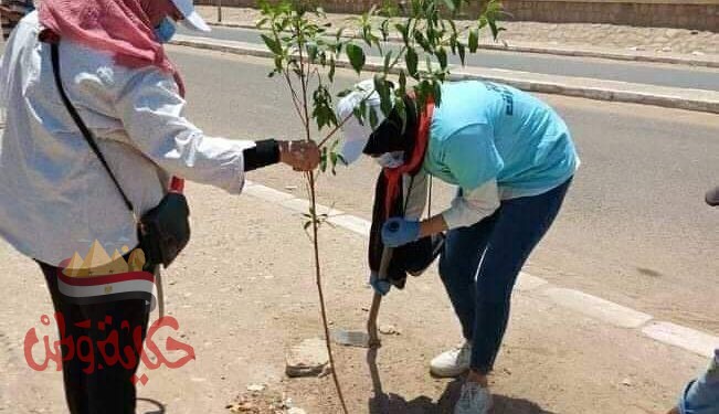 فؤاد”انطلاق حملة تشجير منطقة كيما ضمن مبادرتى “اتحضر للاخضر ” ..