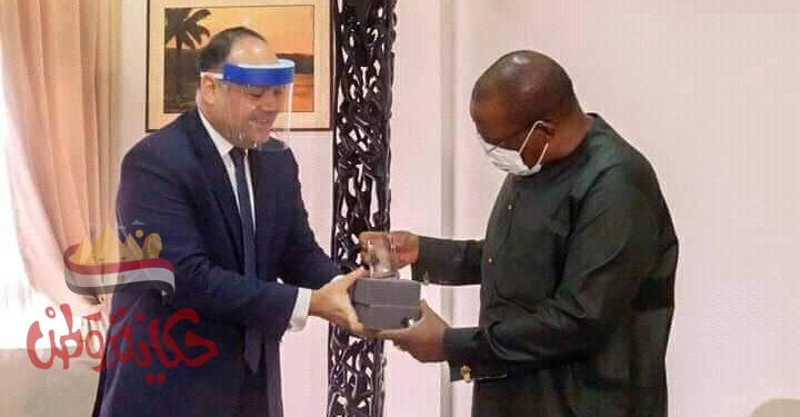 السفير المصري في كوناكري يلتقي مع رئيس وزراء غينيا