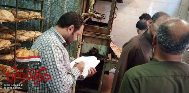 المنوفية: تحرير 120 محضر تمويني