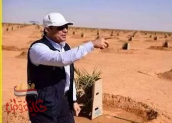 هنا أكبر مزرعة نخيل فى العالم