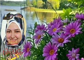 دورى فى الحياة هو