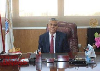 جامعة جنوب الوادي تشارك في الجلسة التدريبية لجائزة المؤسسة المتميزة