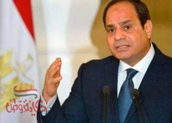 تنسيقية شباب مصر تطلق حملة تفويض الرئيس السيسى “