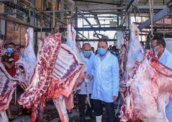 القصير  : ذبح 8 آلاف أضحية مجانا وإزالة التعديات على الأراضي الزراعية