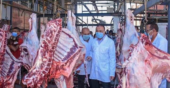 القصير : ذبح 8 آلاف أضحية مجانا وإزالة التعديات على الأراضي الزراعية