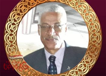 نجحت مصر في الاستحقاق الانتخابي لمجلس الشيوخ المصري …