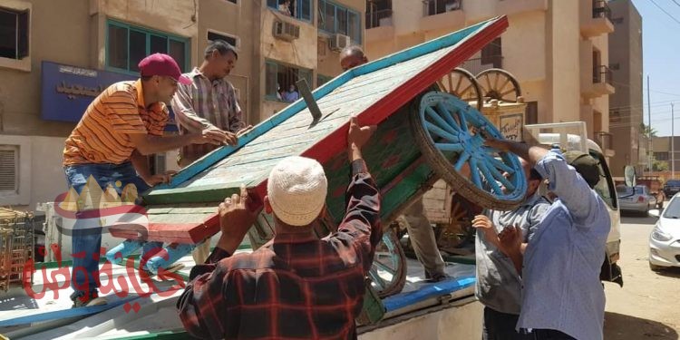 نشاط مكثف من أجل ضبط الشارع السوهاجي فى عيد الأضحى