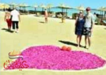 تسلم 12 فندقا شهادة السلامة الصحية بخمس محافظات خلال هذا الأسبوع