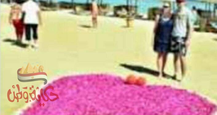 تسلم 12 فندقا شهادة السلامة الصحية بخمس محافظات خلال هذا الأسبوع