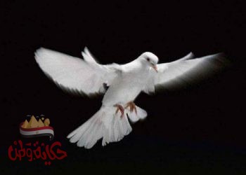 لا تصالح ولو منحوك الذهب