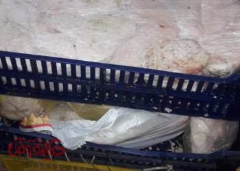 طنطا :ضبط ٥٩٠كيلو جبنة و١٨٣٠كيلو قشطة غير صالحة للاستهلاك الآدمى