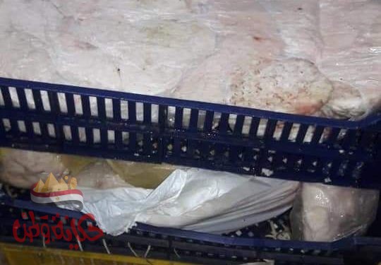 طنطا :ضبط ٥٩٠كيلو جبنة و١٨٣٠كيلو قشطة غير صالحة للاستهلاك الآدمى