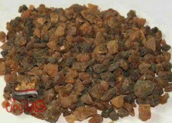 فوائد المر البطارخ